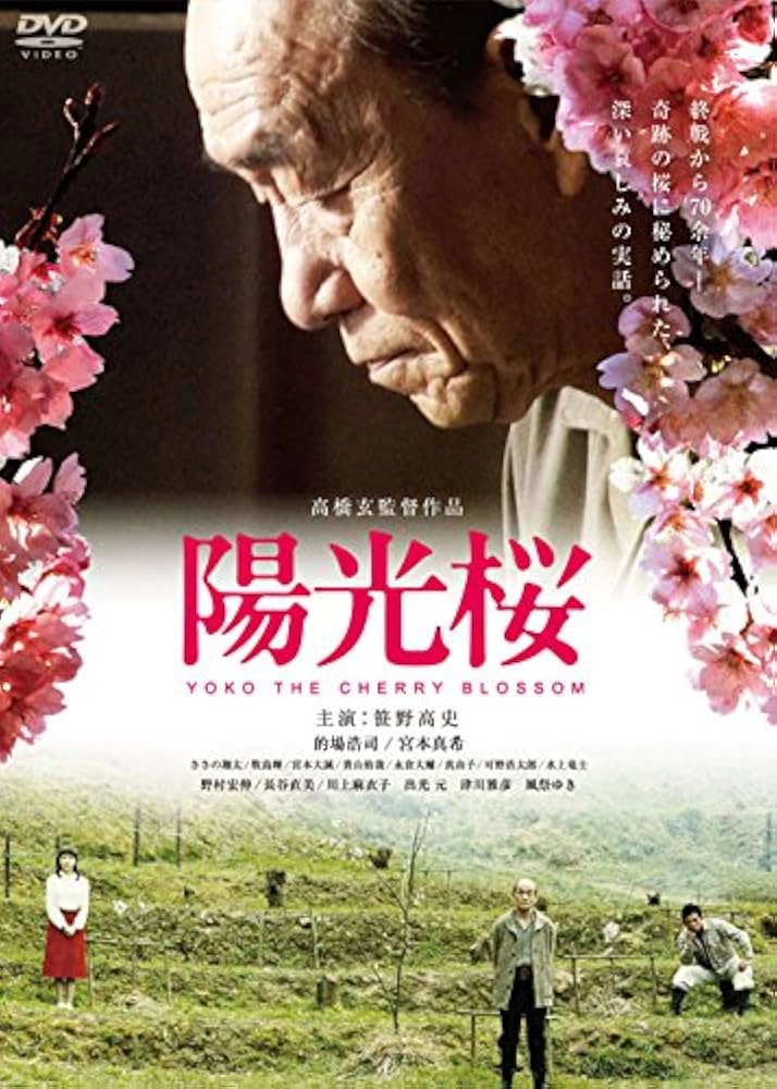 陽光桜-YOKO THE CHERRY BLOSSOM-