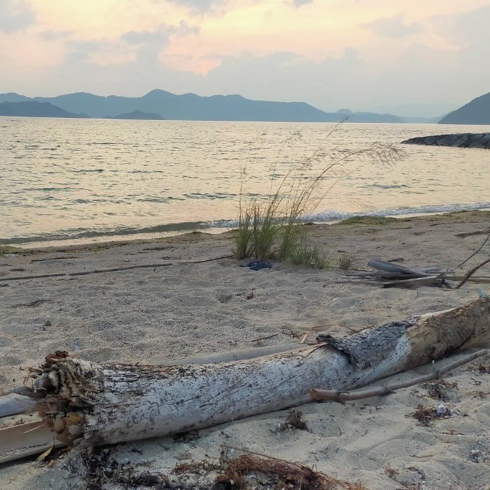 しまなみ地球の楽校